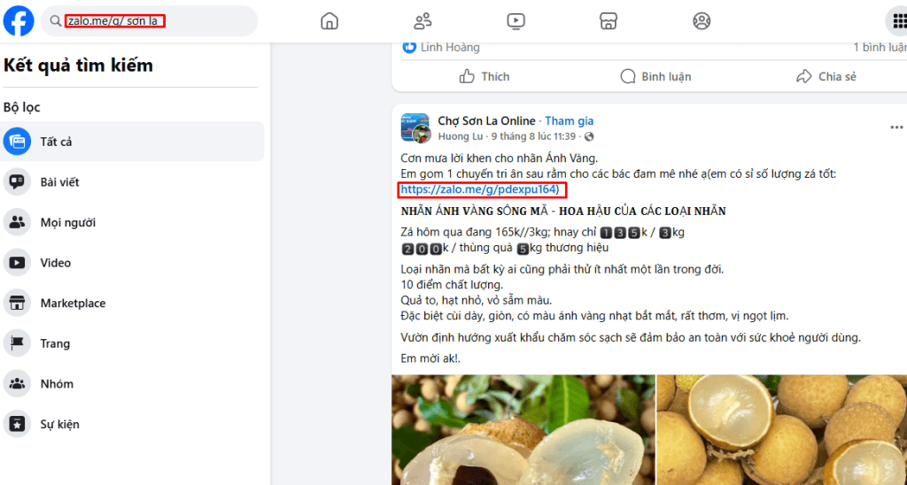 Mẹo tìm kiếm nhóm Zalo Sơn La