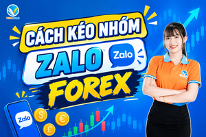 Cách kéo nhóm Zalo Forex
